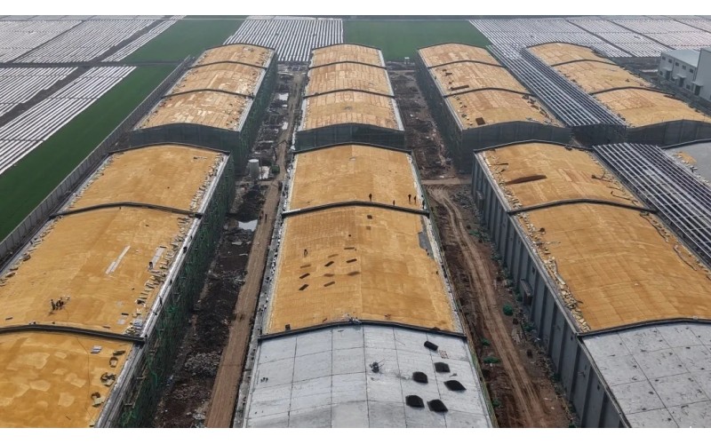 開局爭先！湖北農(nóng)發(fā)集團(tuán)一季度喜迎“開門紅”