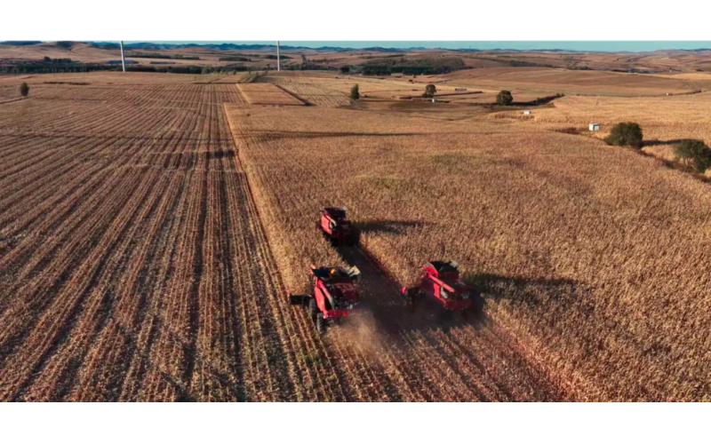 潤(rùn)農(nóng)節(jié)水科技賦能：科右前旗玉米迎豐收，開(kāi)創(chuàng)北方單產(chǎn)提升新范式